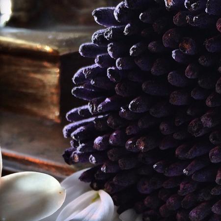 Sacred Elephant - Luxury Indian Incense Sticks
